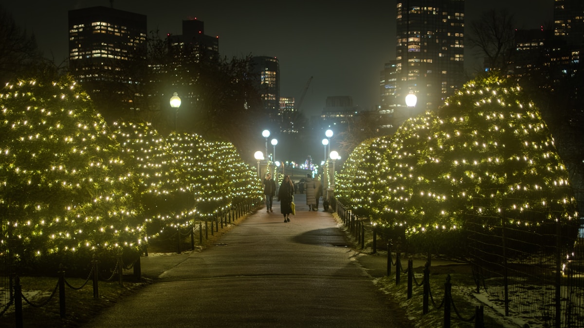 Walkway lighting installation by MerryGlow